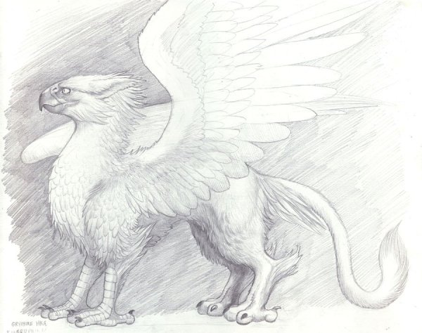 Фантастические животные карандашом