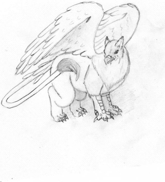 Грифон лайнарт