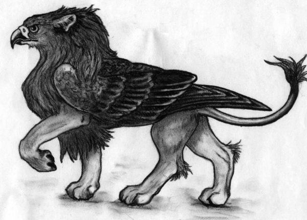 Фантастические животные простым карандашом