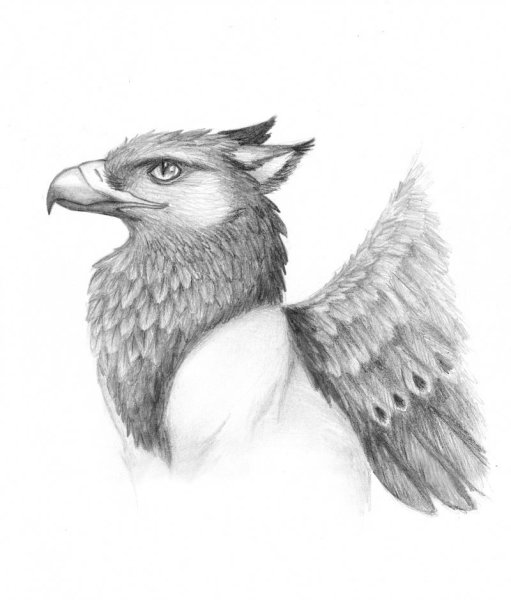 Грифон против дракона