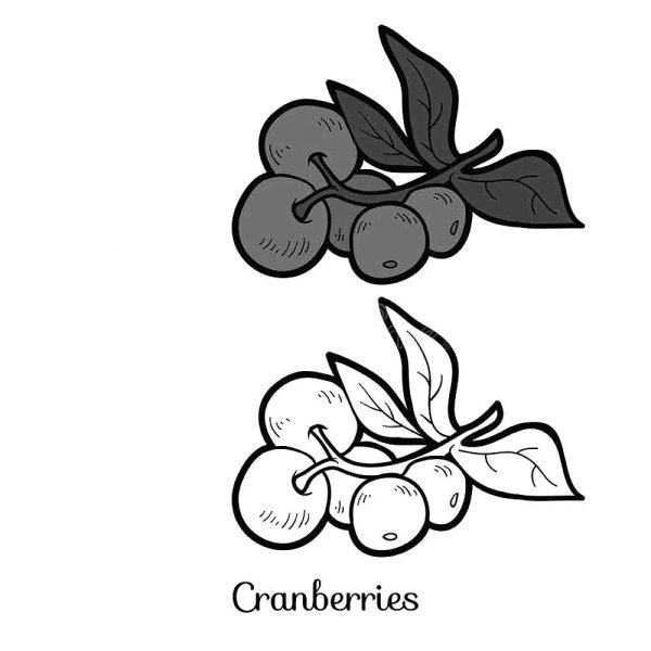 Брусника вышивка