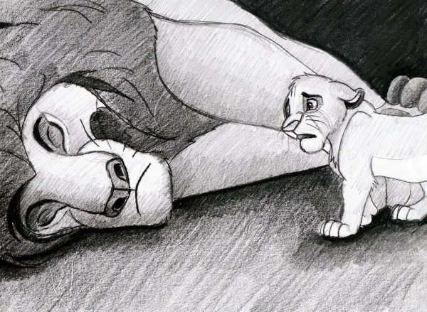 Король Лев рисунок карандашом