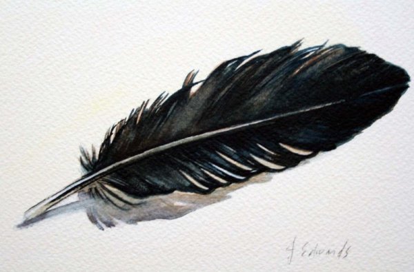 Перо птицы для рисования