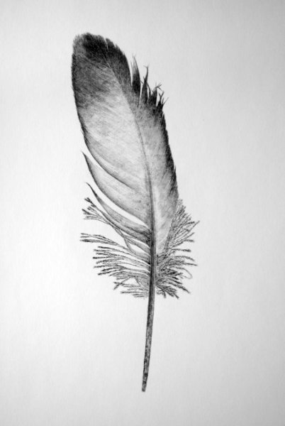 Перо черно белое