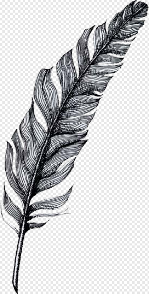 Перо вороны нарисовать