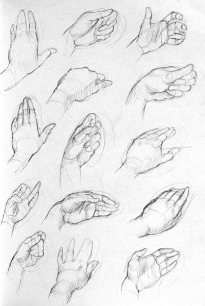 Рисование руки человека