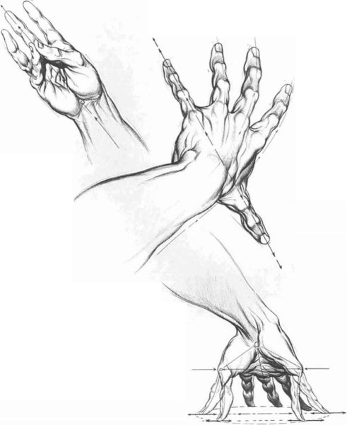 Наброски кистью