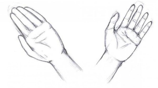 Руки для срисовывания