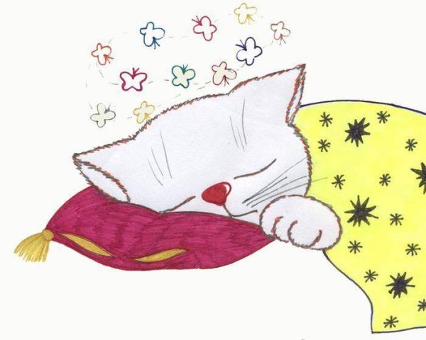 Кот на подушке рисунок