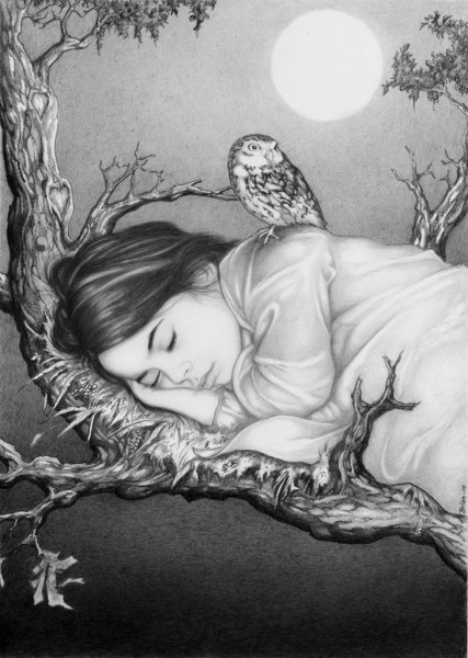 Ночь карандашом