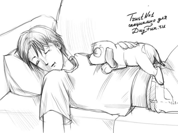 Зарисовки спящих