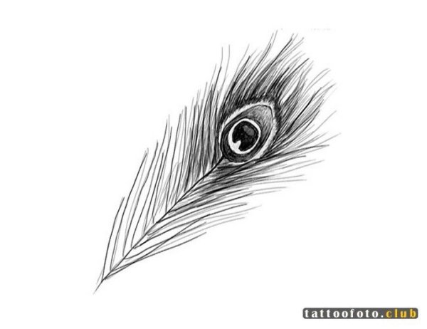 Перо карандашом