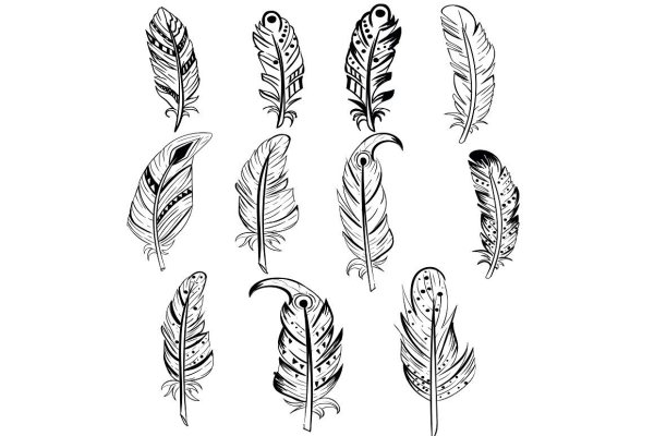 Пух перо раскраска для детей