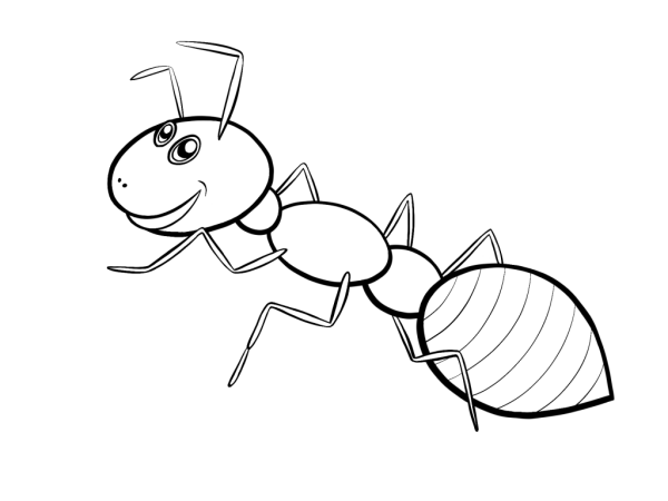 Муравей рисунок