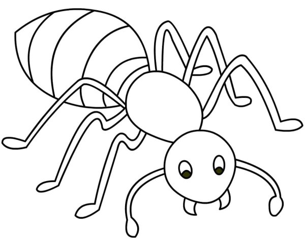 Муравей схематично