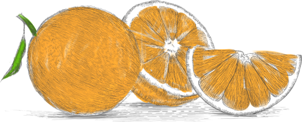 Шаблон апельсина для рисования