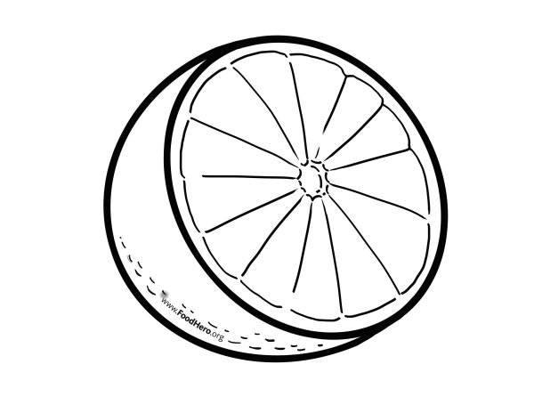 Апельсин в разрезе карандашом