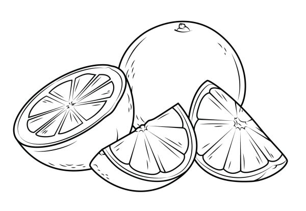 Рисунок апельсина для раскрашивания