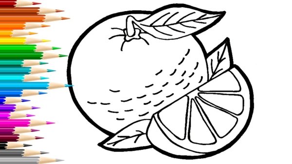 Мандарин раскраска