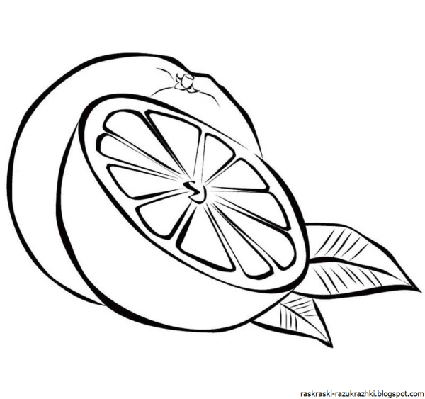 Лайм раскраска для детей