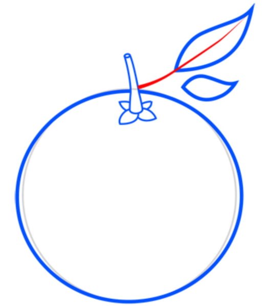 Долька апельсина карандашом