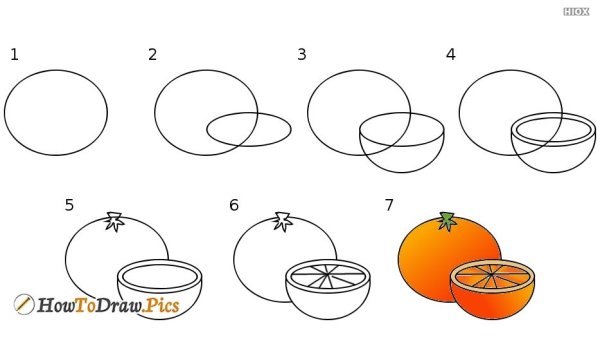 Поэтапное рисование фруктов
