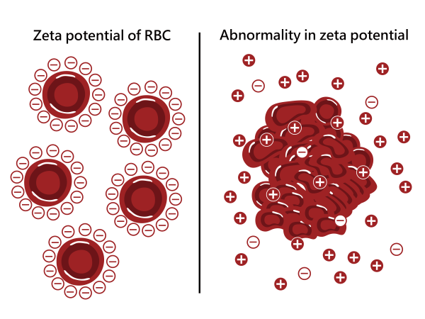 Эритроциты мультяшные