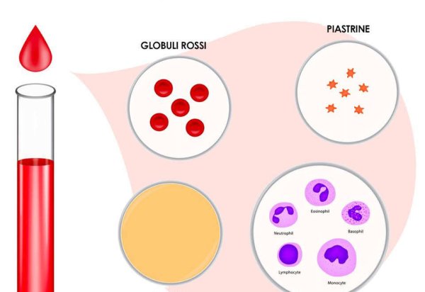 Мультяшные клетки крови