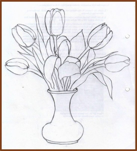 Композиция цветов карандашом