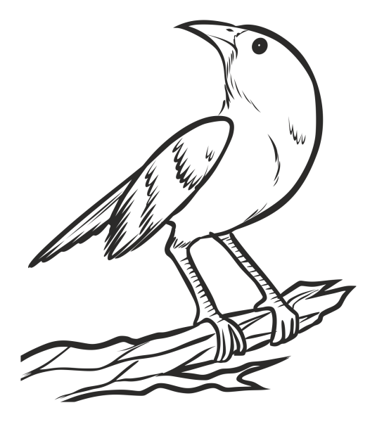 Соловей рисунок