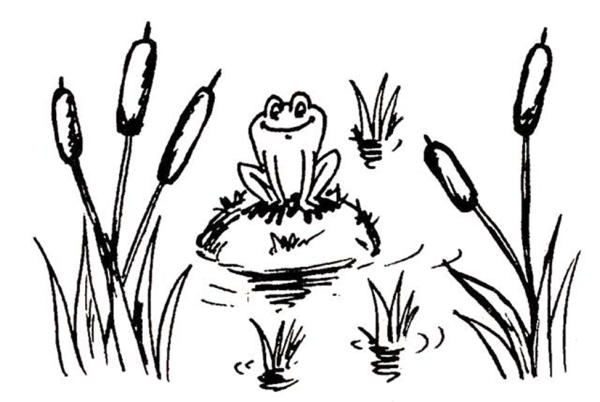 Камыш рисунок