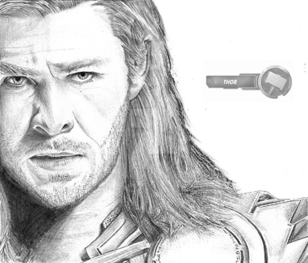 Тор рисунок