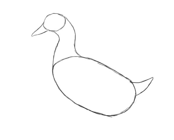 Зарисовка утки