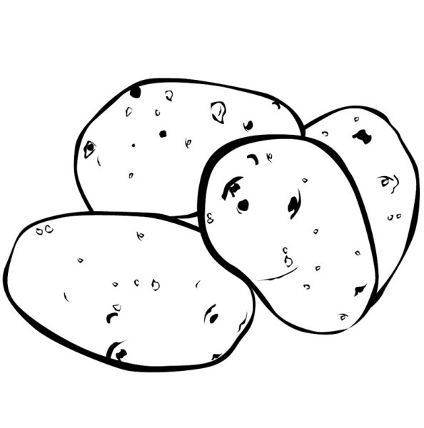 Картошка рисунок