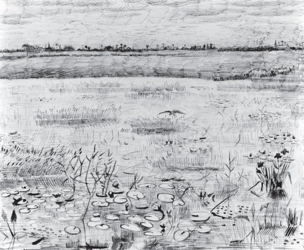 Ван Гог болото