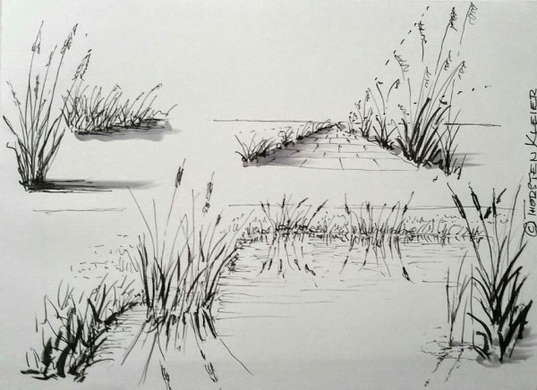 Болота Графика