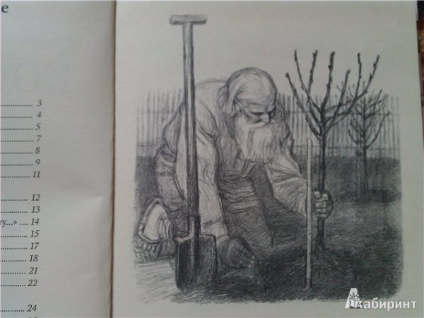 Портрет древнего мыслителя