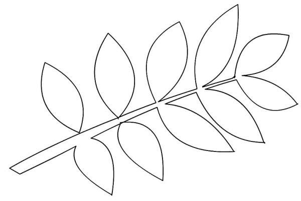 Рябина раскраска