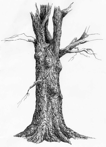 Рисование коры дерева