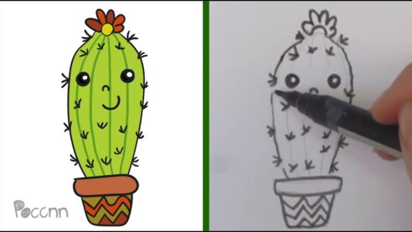 Кактус рисунок