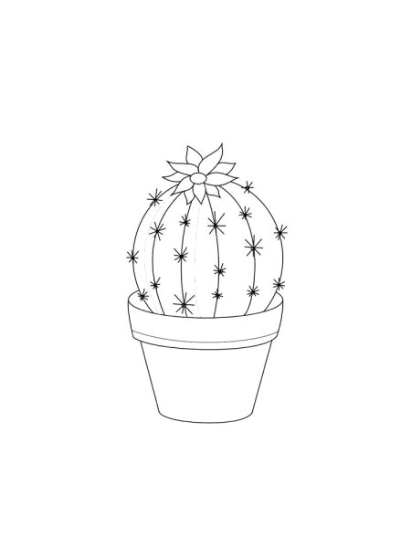 Раскраска Кактус в горшке