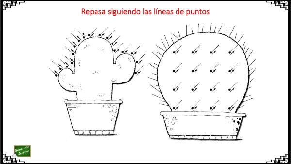 Задания для дошкольников о кактусе