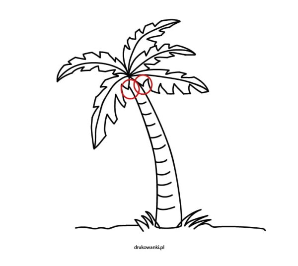 Пальма карандашом