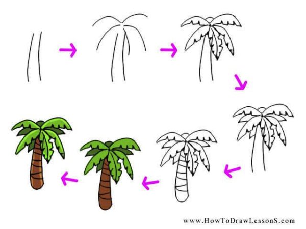 Пальма карандашом