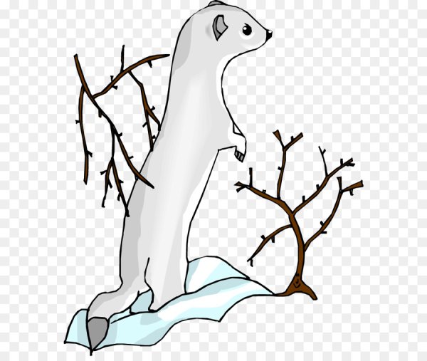 Норка рисунок