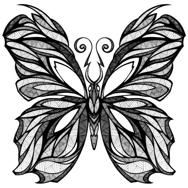 Бабочка простым карандашом