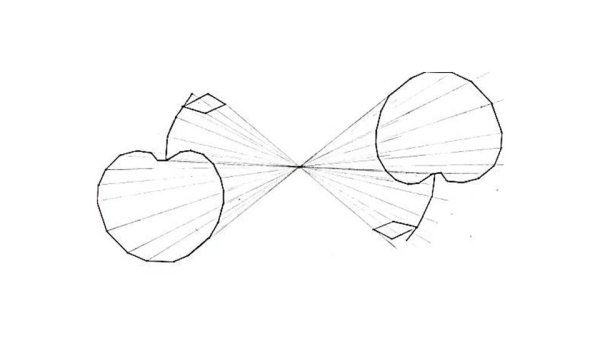 Крылья бабочки