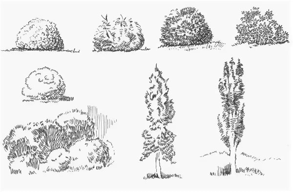 Антураж куст сбоку