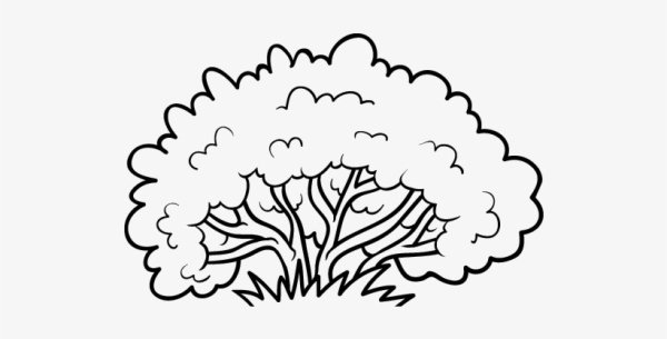 Куст раскраска для детей