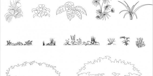 Кустик карандашом